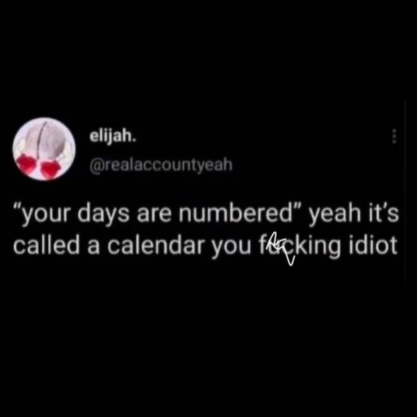 Lazy Memes For A Lazy Day