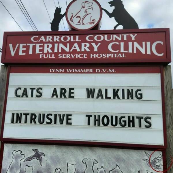 Hilarious Signs That Made Our Day Hilarious Signs That Made Our Day