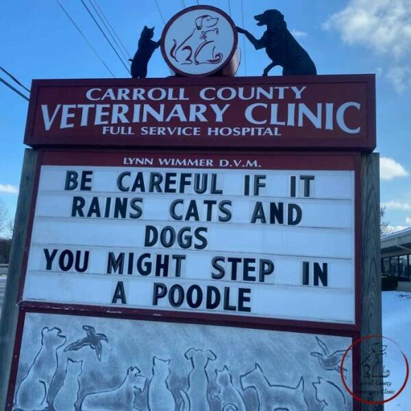 Hilarious Signs That Made Our Day
