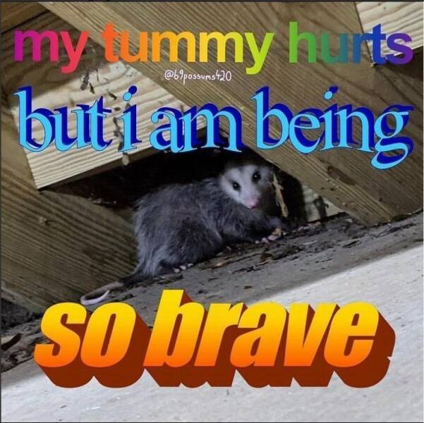 Funny Picdump Funny Picdump