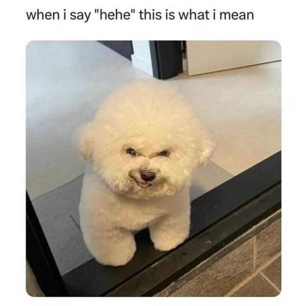 Funny Picdump Funny Picdump