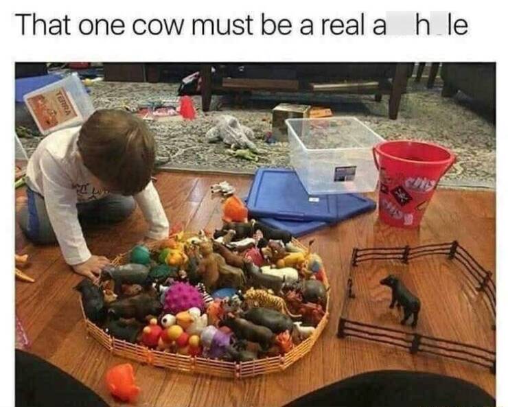 Funny Picdump Funny Picdump