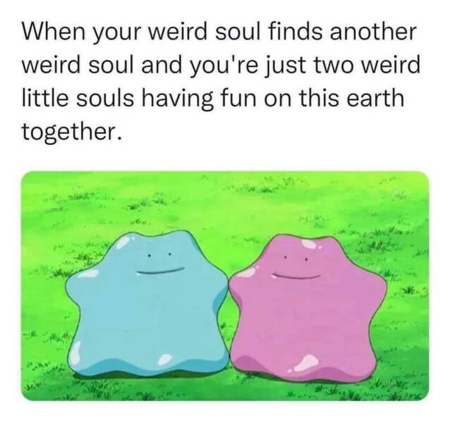 Funny Picdump Funny Picdump