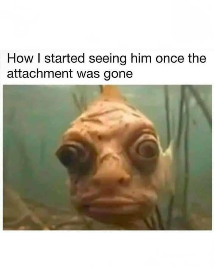 Funny Picdump Funny Picdump