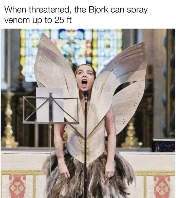 Funny Picdump Funny Picdump