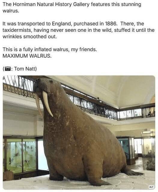 Funny Picdump Funny Picdump