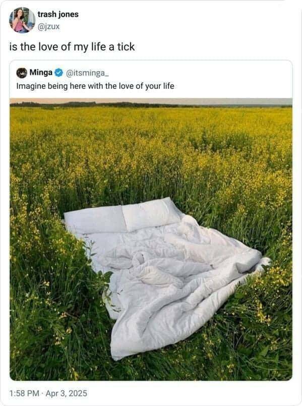 Funny Picdump Funny Picdump