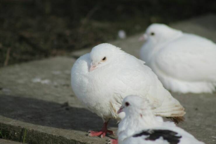 Hidden Truths Of The Roman Empire