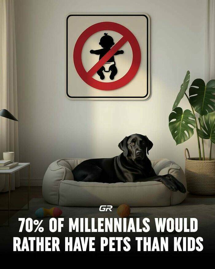 Interesting Facts Everyone Should Know