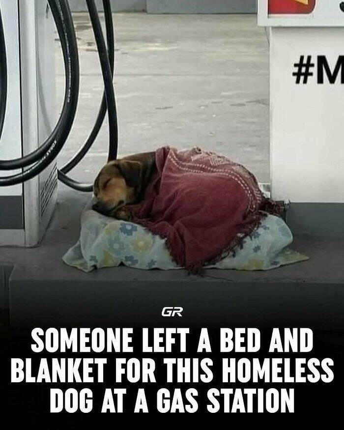 Interesting Facts Everyone Should Know