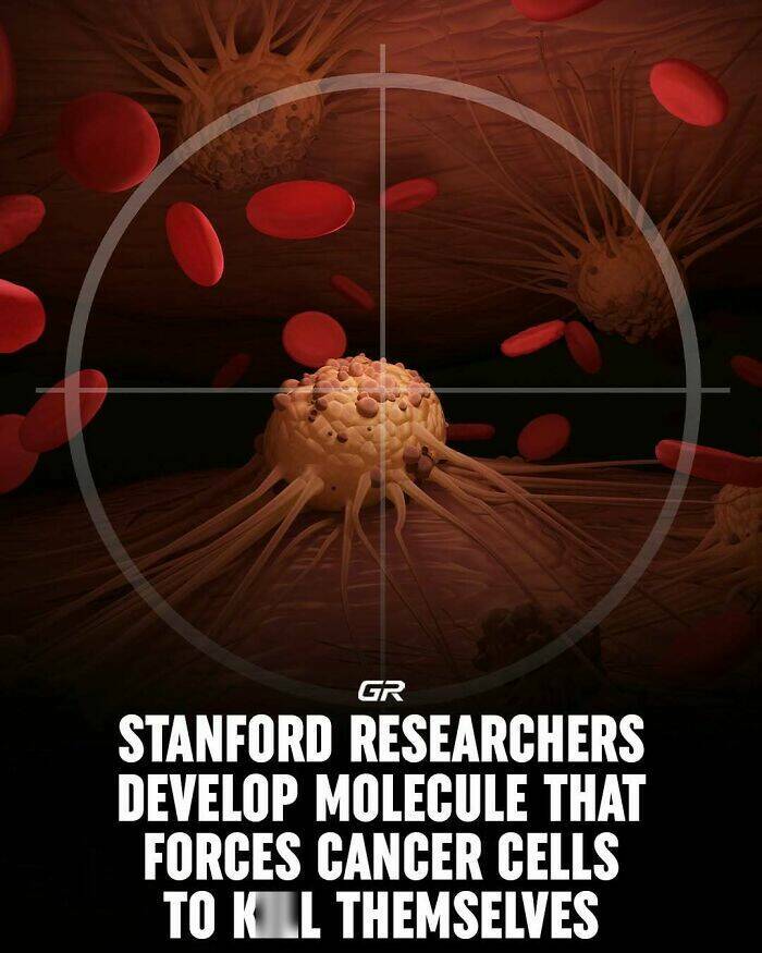 Interesting Facts Everyone Should Know