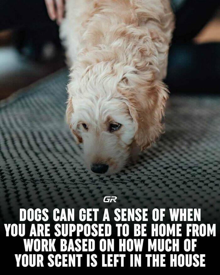 Interesting Facts Everyone Should Know