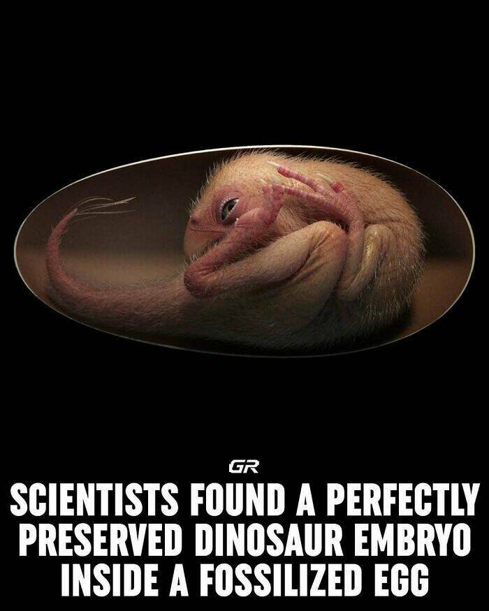 Interesting Facts Everyone Should Know