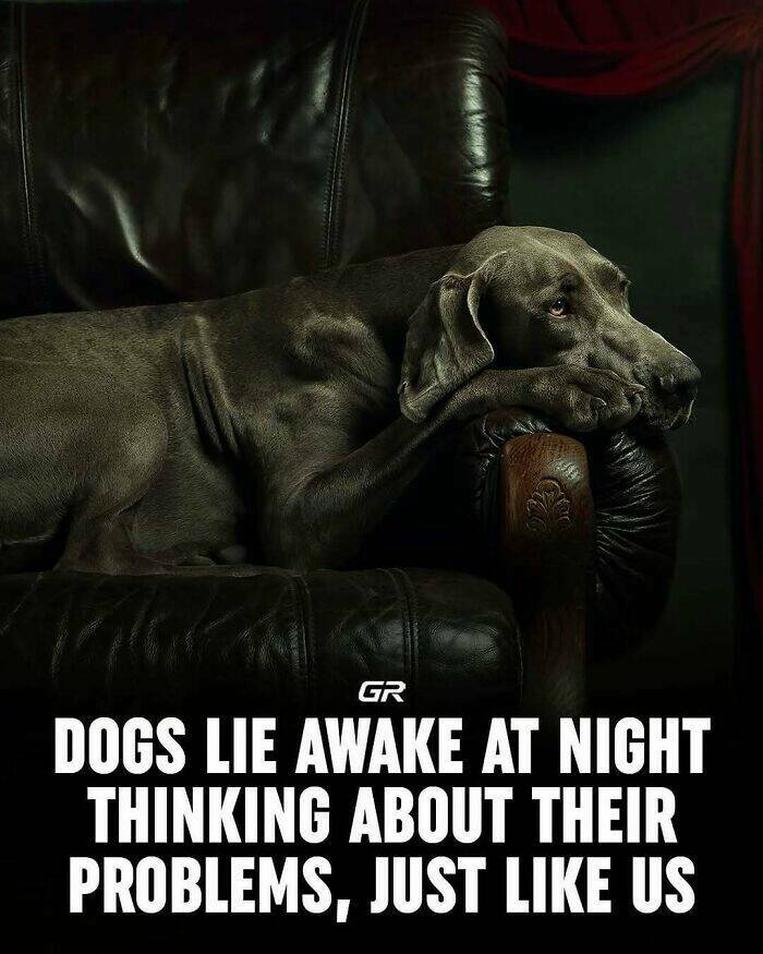 Interesting Facts Everyone Should Know