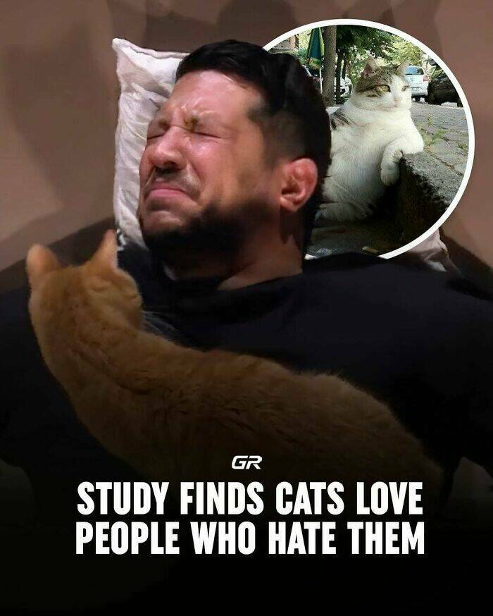 Interesting Facts Everyone Should Know