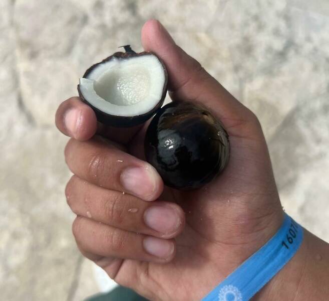 Strange Things The Ocean Unexpectedly Revealed