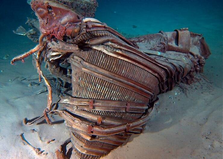 Strange Things The Ocean Unexpectedly Revealed