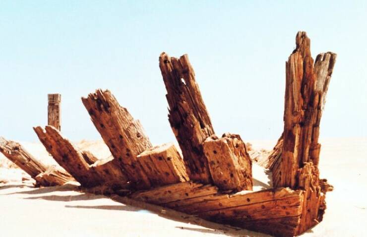 Strange Things The Ocean Unexpectedly Revealed