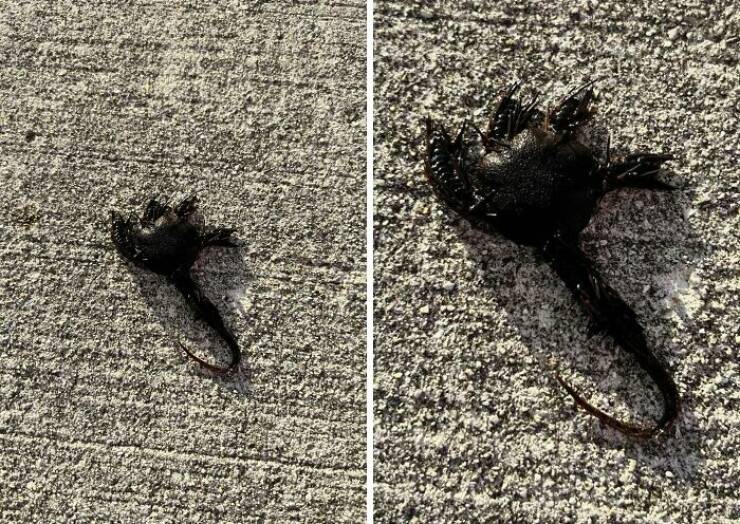 Strange Things The Ocean Unexpectedly Revealed