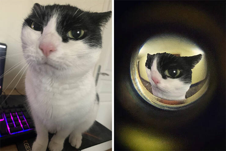 When People Asked for Photo Edits and Got Hilarious Results