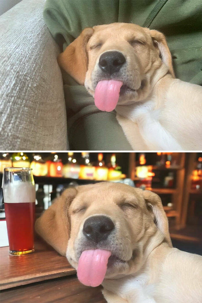 When People Asked for Photo Edits and Got Hilarious Results