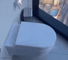 Daily Gifdump Daily Gifdump