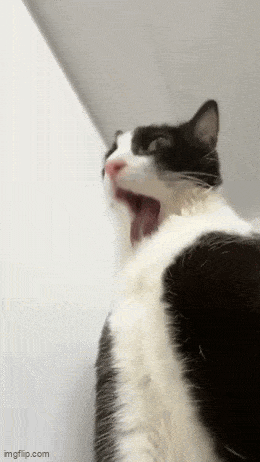 Daily Gifdump Daily Gifdump