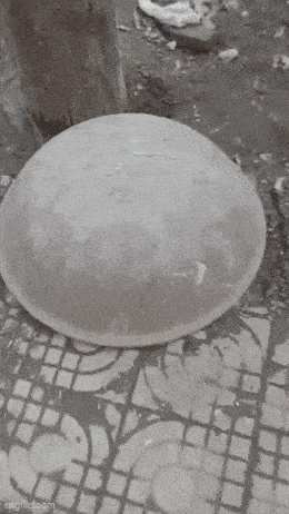 Daily Gifdump Daily Gifdump