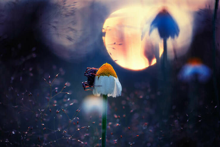 Breathtaking Nature Photos That Show Earth’s True Beauty