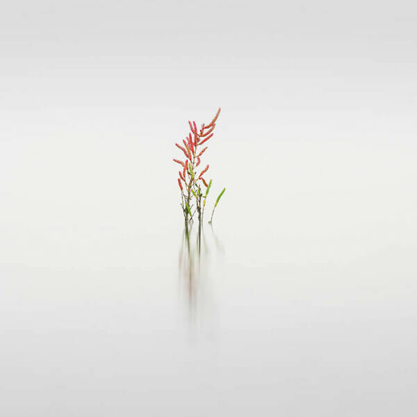 Breathtaking Nature Photos That Show Earth’s True Beauty