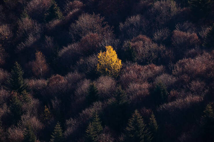 Breathtaking Nature Photos That Show Earth’s True Beauty