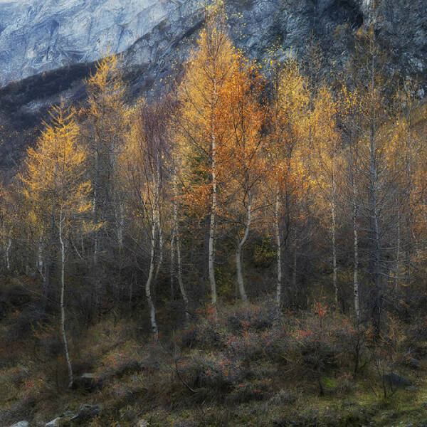 Breathtaking Nature Photos That Show Earth’s True Beauty