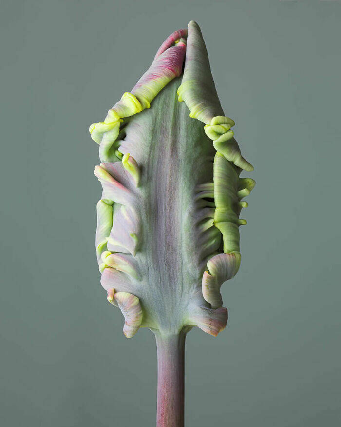 Breathtaking Nature Photos That Show Earth’s True Beauty