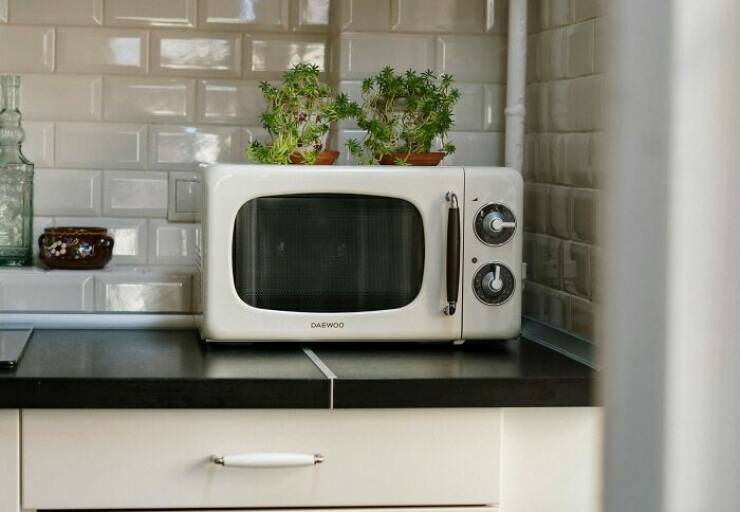 Innocent-Looking Things That Are Secretly Dangerous