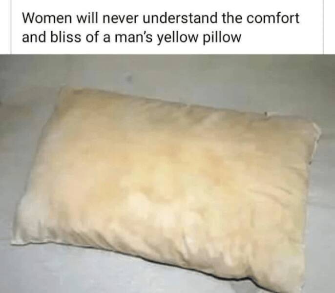 Memes That Forgot Logic Was A Thing