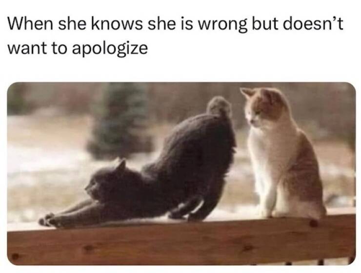 Memes That Forgot Logic Was A Thing