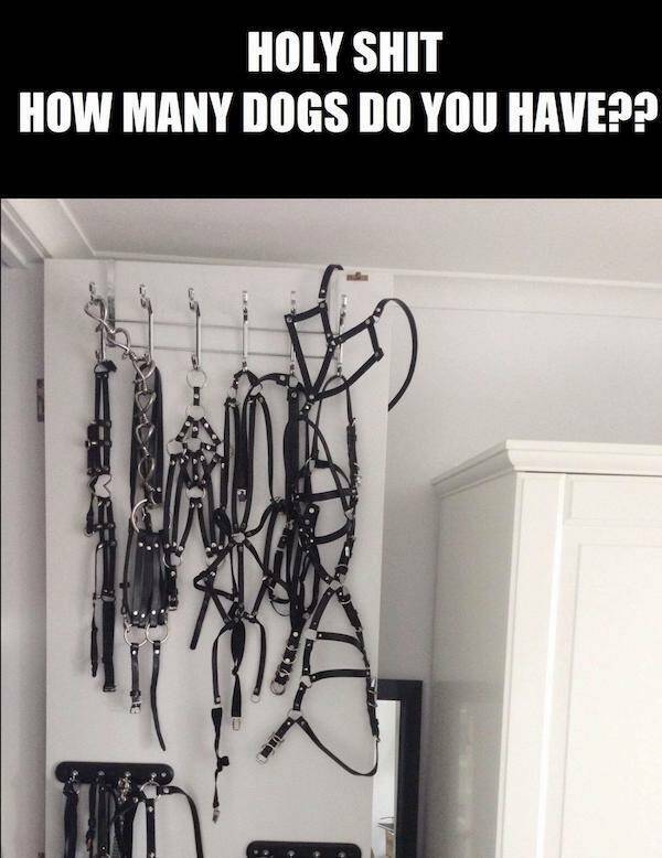 Memes That Forgot Logic Was A Thing