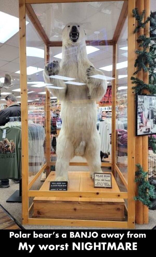 Memes That Forgot Logic Was A Thing