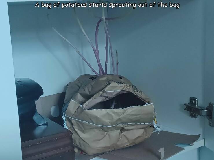 Morning Picdump Morning Picdump