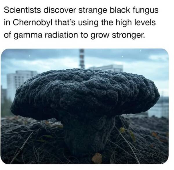 Morning Picdump Morning Picdump