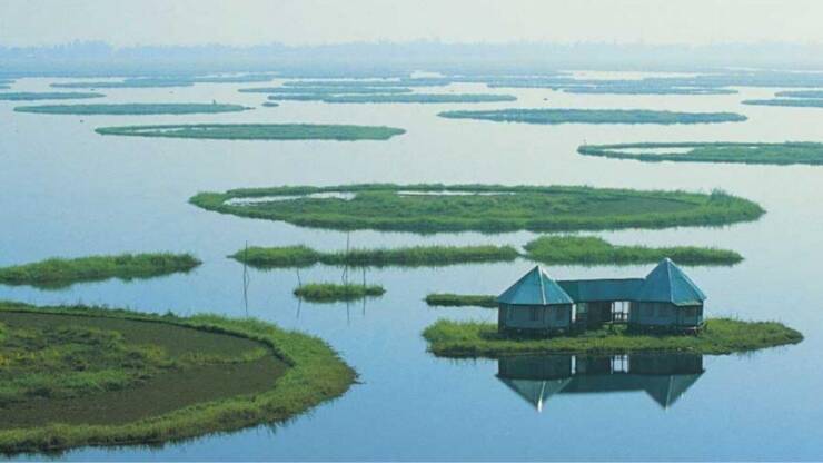 Morning Picdump Morning Picdump