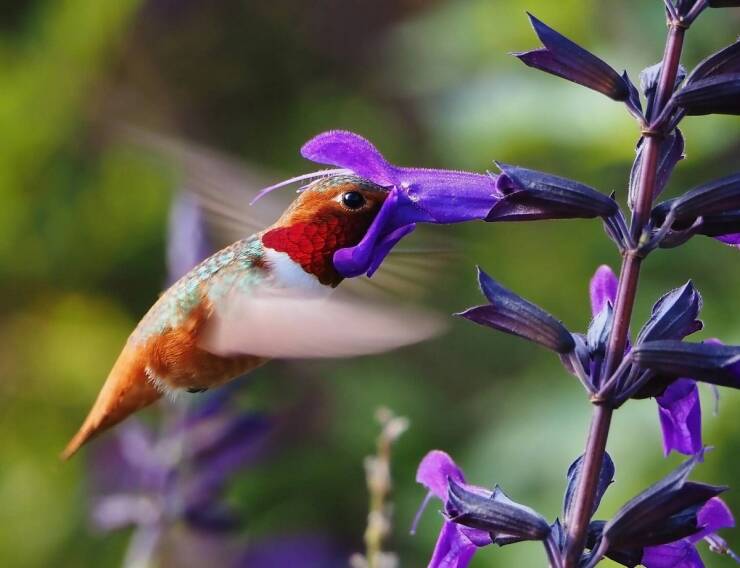 Morning Picdump Morning Picdump