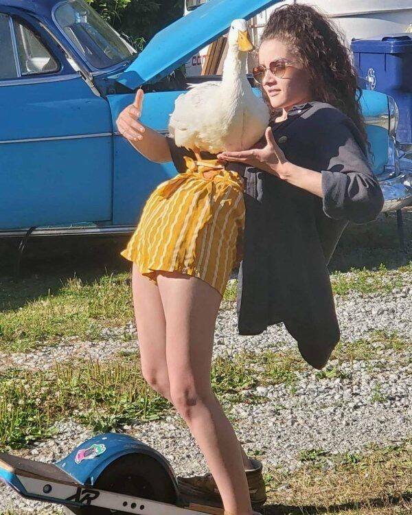 Morning Picdump Morning Picdump