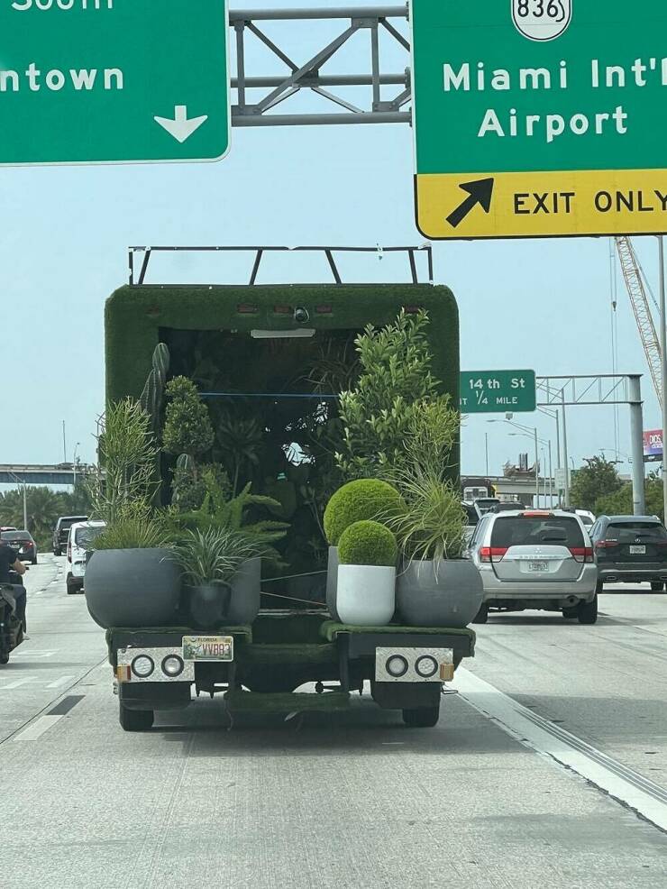 Morning Picdump Morning Picdump