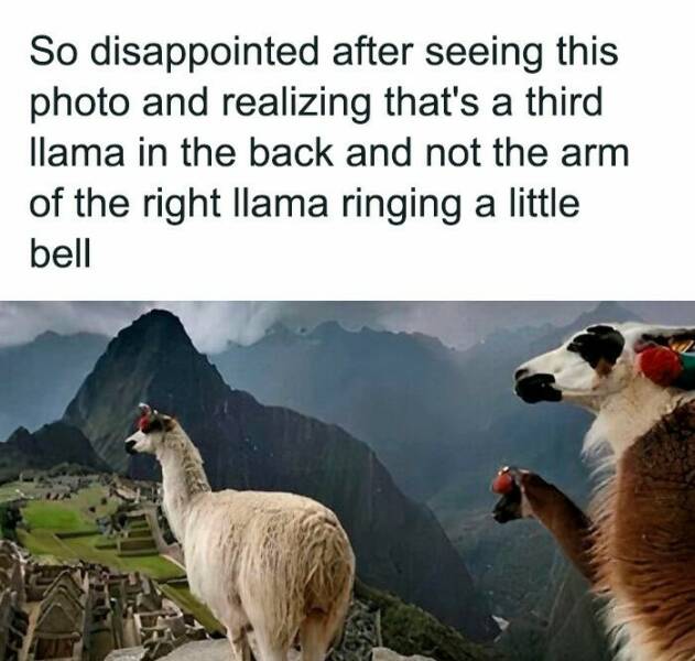 These Are the Funniest Memes People Can’t Stop Sharing