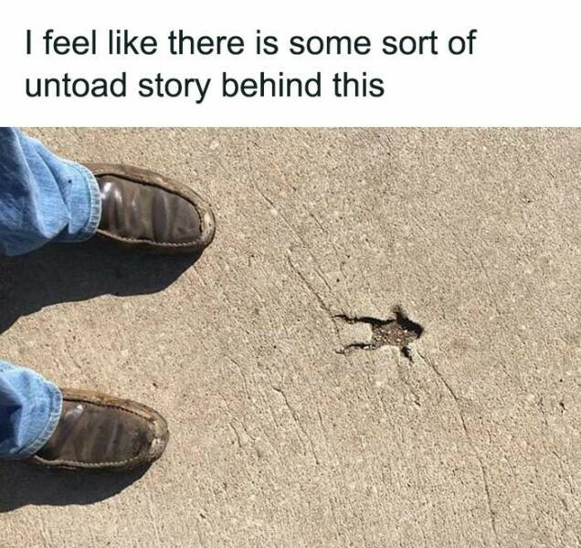 These Are the Funniest Memes People Can’t Stop Sharing