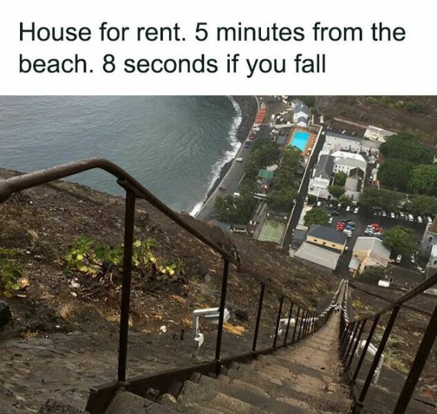 These Are the Funniest Memes People Can’t Stop Sharing