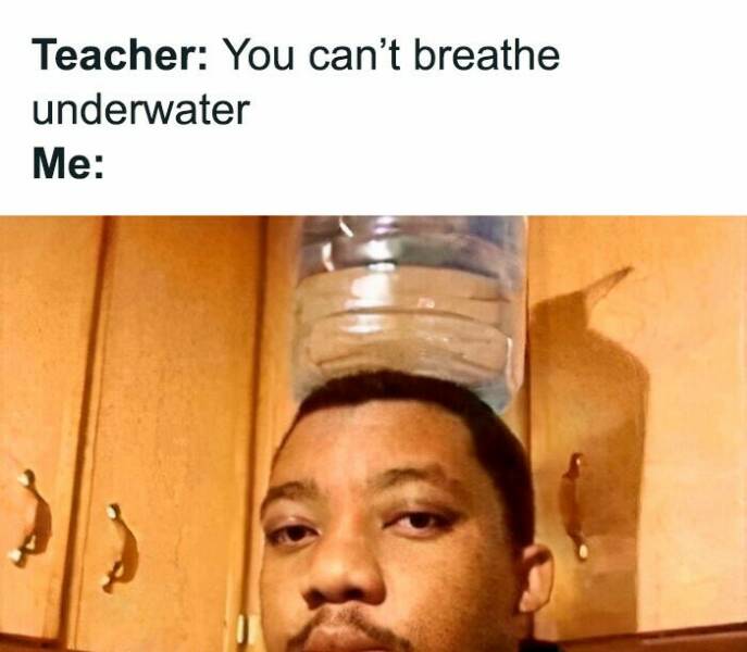 These Are the Funniest Memes People Can’t Stop Sharing