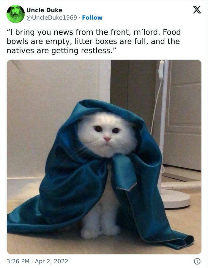 These Are the Funniest Memes People Can’t Stop Sharing