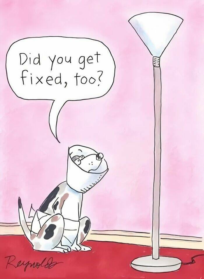 These Are the Funniest Memes People Can’t Stop Sharing